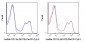 PerCP-Cy5.5 Anti-Human/Mouse CD11b (M1/70) Antibody