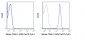 PerCP-Cy5.5 Anti-Mouse CD45.1 (A20) Antibody