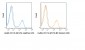 violetFluor™ 450 Anti-Human/Mouse CD11b (M1/70) Antibody