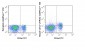 violetFluor™ 450 Anti-Mouse CD127 (IL-7Ra) (A7R34) Antibody