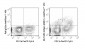 violetFluor™ 450 Anti-Mouse F4/80 Antigen (BM8.1) Antibody