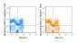 violetFluor™ 450 Anti-Mouse IFN gamma (XMG1.2) Antibody