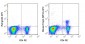 APC Anti-Mouse Foxp3 (MF23) Antibody