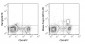 PE Anti-Mouse Foxp3 (MF23) Antibody