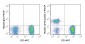 PerCP Anti-Human CD19 (SJ25C1) Antibody