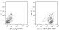 FITC Anti-Human CD45 (2D1) Antibody