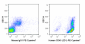 PE-Cyanine7 Anti-Human CD45 (2D1) Antibody