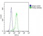 LGR5/GPR49 Antibody