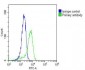 RAB18 Antibody