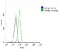 PCNA Antibody