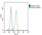 CYLD Antibody