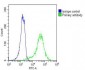 MYO18B Antibody