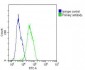 CES2 Antibody (Center)