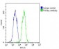 ID1 Antibody (Center)