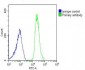 TPRA1 Antibody (N-Term)