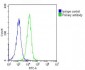 Profilin-1 Antibody