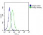 Cyclophilin B Antibody