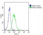 Hsp60 Antibody