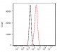 Anti-CD19 Antibody