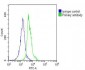 VLDLR Antibody (Center)