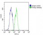 IFNB1 Antibody (N-term)