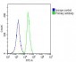 ANGPTL4 Antibody (Center)