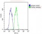 GPX1 Antibody (C-term)