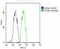 GPX1 Antibody (C-term)