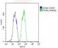 GPX1 Antibody (C-term)