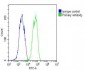 GPX1 Antibody (C-term)