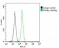 PLA2G7 Antibody (Center)