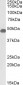 Anti-SNX5 Antibody (C-term), Biotinylated
