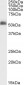 Goat Anti-GABRG2 Antibody (N Terminus)