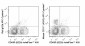 APC-Cyanine7 Anti-Mouse CD117 (c-Kit) Antibody (ACK2)