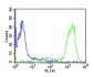 CD44 Antibody