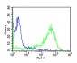 human CD7 Antibody