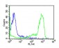 human CD11a Antibody