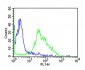 human CD38 Antibody