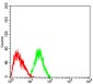 Mouse Monoclonal Antibody to DNMT3L