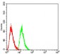 Mouse Monoclonal Antibody to RAN