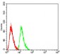 Mouse Monoclonal Antibody to RAN