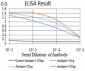 Mouse Monoclonal Antibody to AKT1