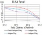 Mouse Monoclonal Antibody to CDH11