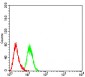 Mouse Monoclonal Antibody to CDH11