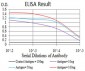 Mouse Monoclonal Antibody to CDH11