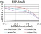 Mouse Monoclonal Antibody to PELP1