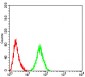 Mouse Monoclonal Antibody to PELP1