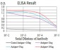 Mouse Monoclonal Antibody to PELP1