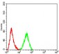 Mouse Monoclonal Antibody to PELP1