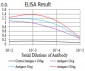 Mouse Monoclonal Antibody to LMNB2